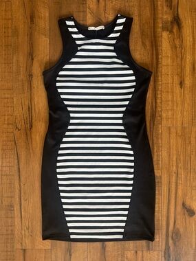 NWT Rolla Coster Striped Bodycon Dress